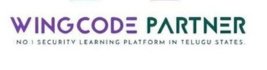 wingcodepartner.com